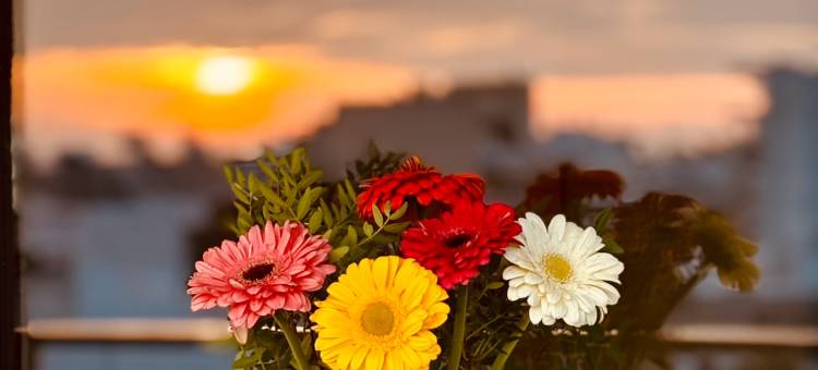 安静民宿雅典市中心-整套两居室-顶楼100平米阳台看雅典日出日落(Quiet House-Athens Center 100 Meters Balcony on the Top Floor)图片