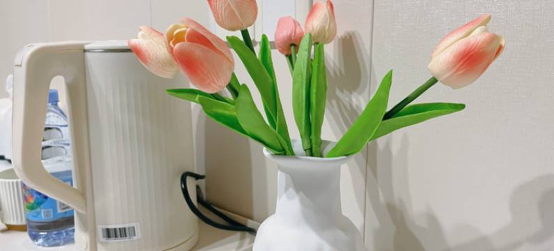 晴天小苑客栈图片