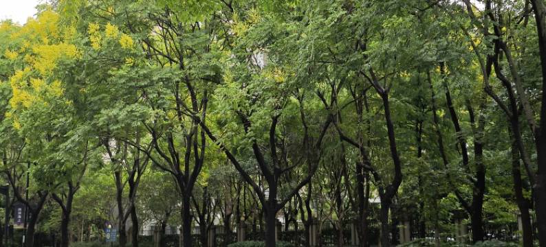 上海中兴和泰酒店图片