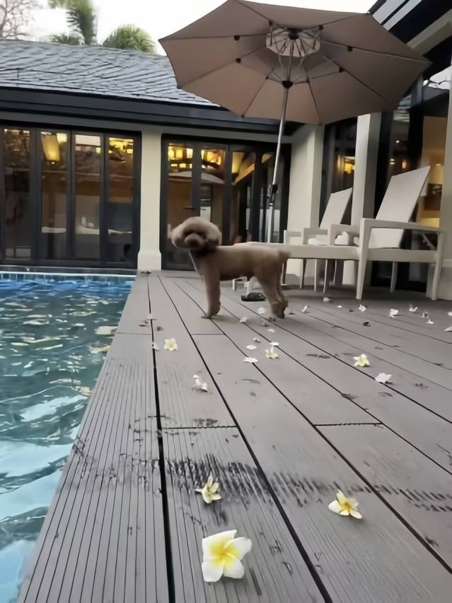 花筑·金澜清川度假别墅(陵水香水湾店)图片