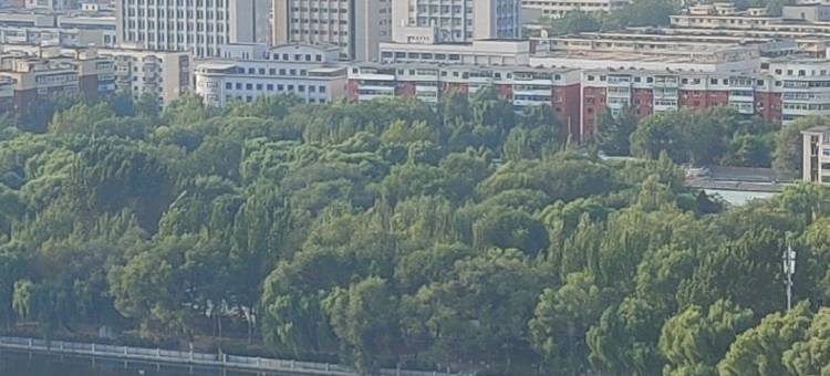 三好青年·青年旅社(鲁美店)图片