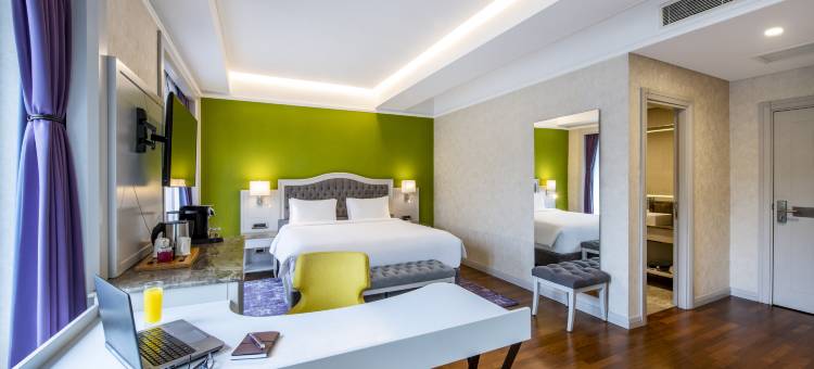 第比利斯老城区美居酒店(Mercure Tbilisi Old Town)图片