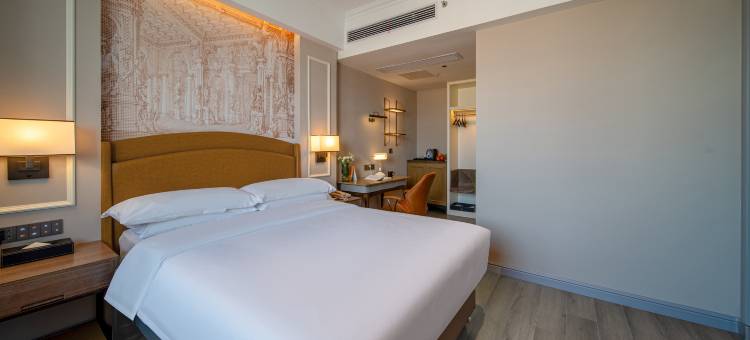 维也纳国际酒店(桐城六尺巷店)图片