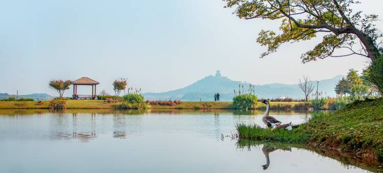 池州平天半岛大酒店图片