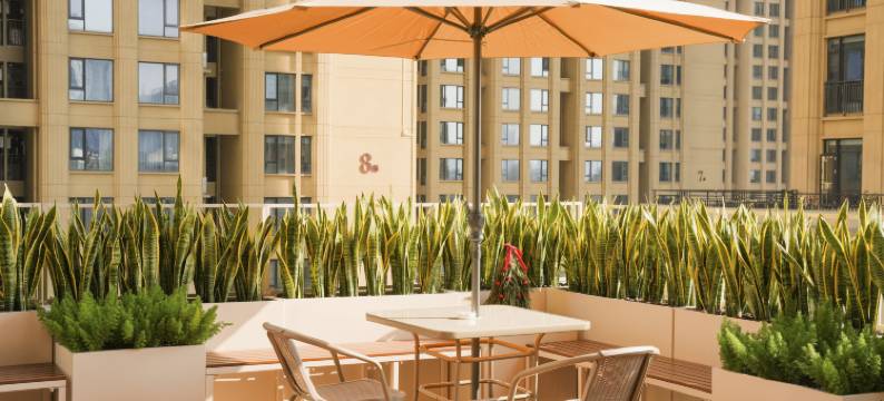 Rollin•如林酒店 (珠海拱北口岸富华里店)图片