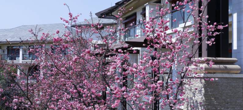 昆明华邑酒店(滇池)图片