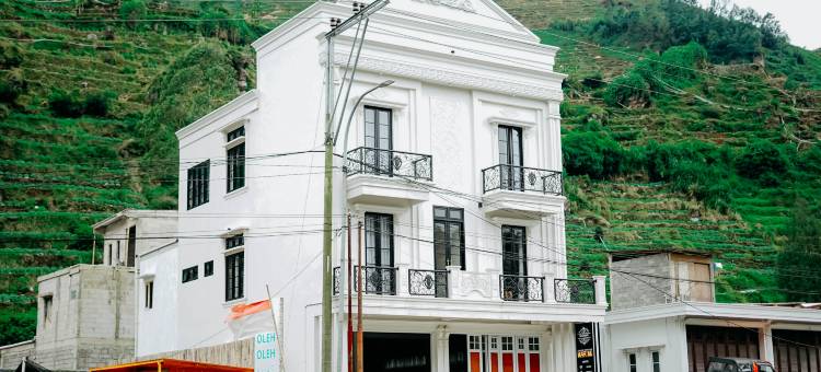 路边别墅(Roadsidevilla's)图片