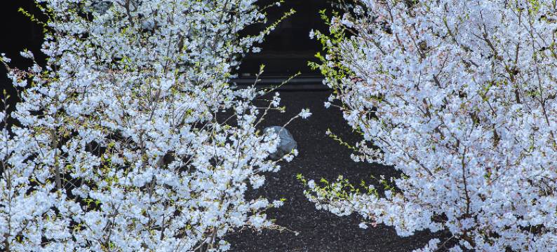 安吉柏翠姚良度假酒店图片