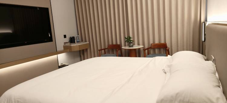 桃源美颂东方酒店图片