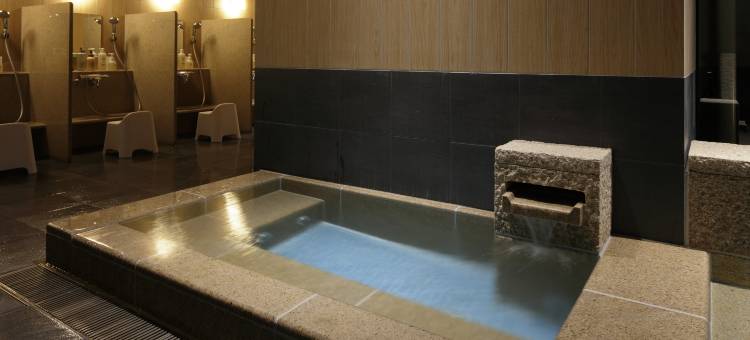 东京新桥光芒酒店(CANDEO HOTELS)(Candeo Hotels Tokyo Shimbashi)图片