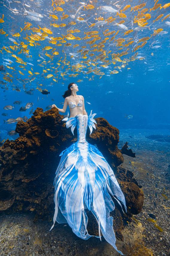 三亚海棠湾洲际度假酒店图片