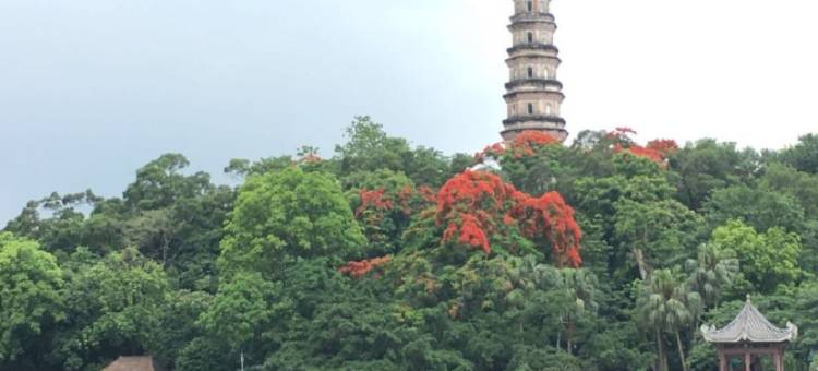 友缘青年民宿(深圳宝安流塘地铁站店)图片
