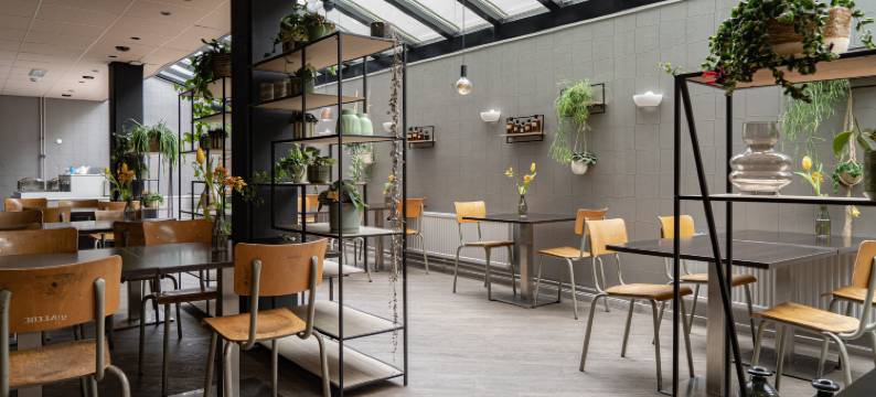 丽瑟精品套房 - 库肯霍夫(Boutique Suites Lisse - Keukenhof)图片