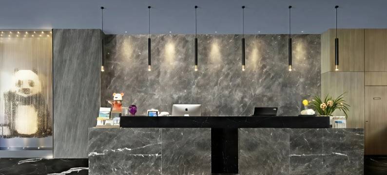 成都丽致酒店(春熙路天府广场店)图片