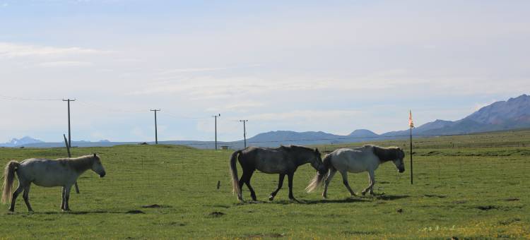 牧云社民宿图片