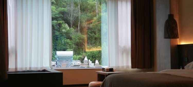 山前一丁民宿图片