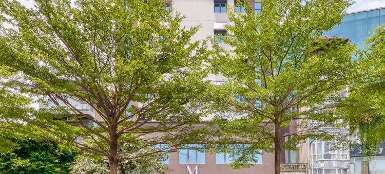 金马M Village酒店(M Village Hotel Kim Ma)图片