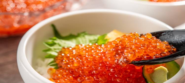 MYSTAYS 札幌 Aspen 酒店(HOTEL MYSTAYS Sapporo Aspen)图片