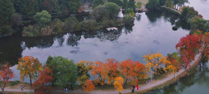 南京黄埔大酒店图片