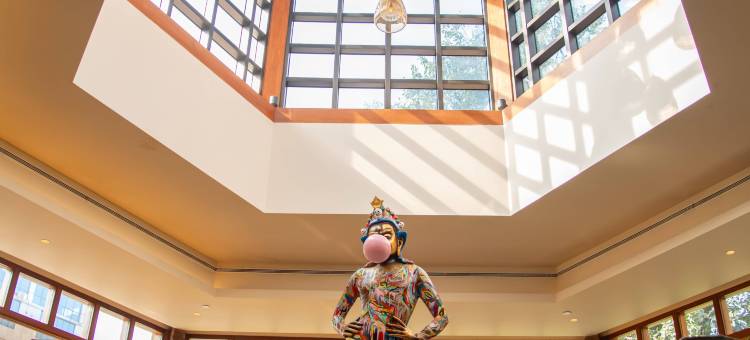 雅克和雪人酒店(Hotel Yak & Yeti)图片