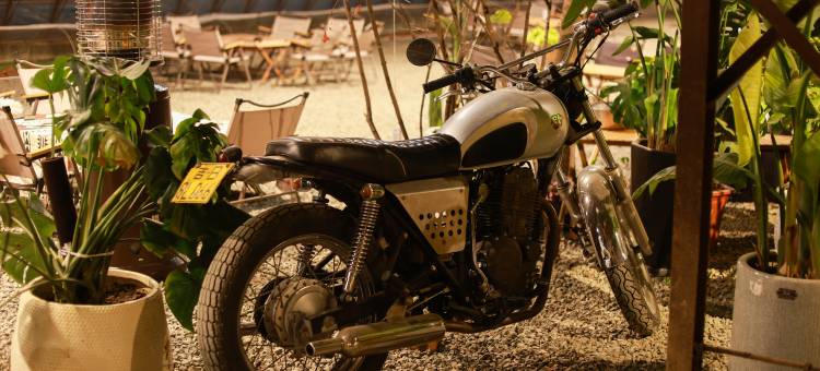 |雪域观星·雾凇秘境|星月度假山庄图片