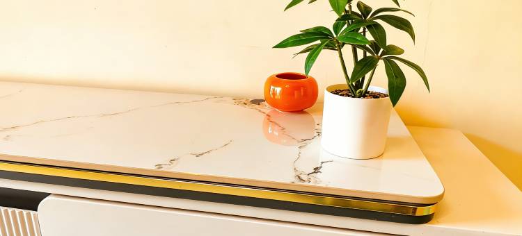 爱彼邻民宿(只有河南海昌海洋公园店)图片