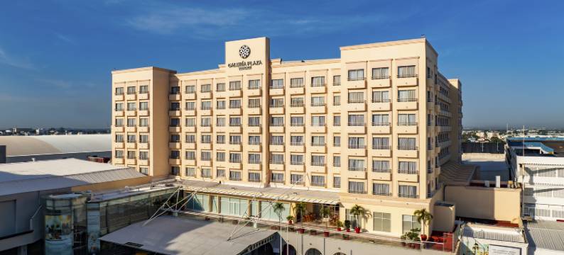 韦拉克鲁斯广场画廊酒店(Galeria Plaza Veracruz)图片