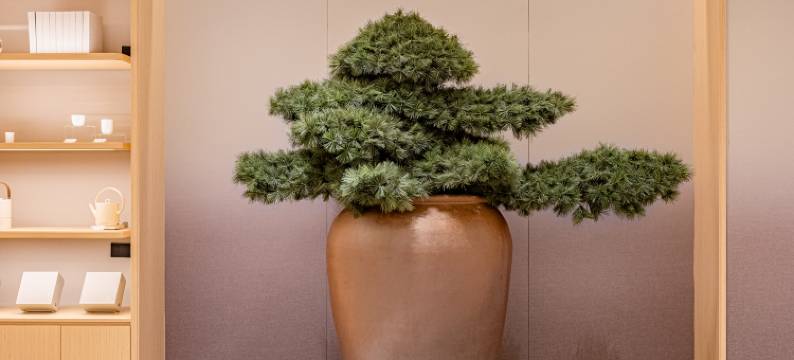 全季酒店(成都太古里春熙路店)图片