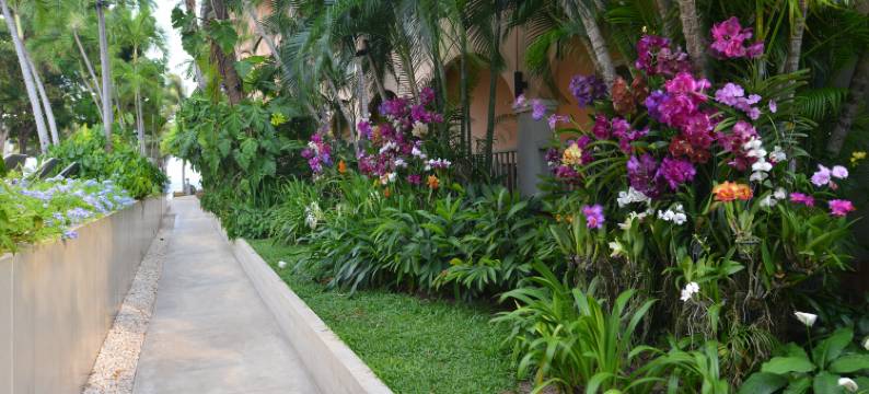 华欣安纳塔西拉海滩度假村(Anantasila Beach Resort Hua Hin)图片