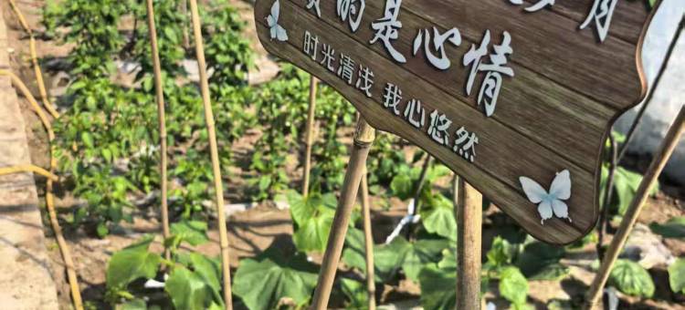 喀喇沁旗云华宾馆图片