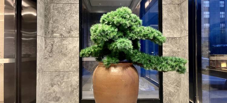 美仑酒店(长春北湖奥林匹克公园店)图片