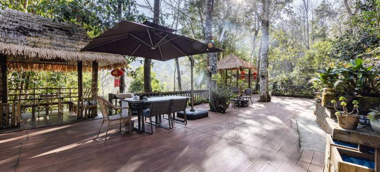 雨林民宿(西双版纳勐海店)图片