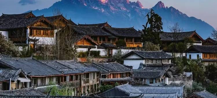 TOP美宿·蝶惜·原木风Home趣味民宿图片
