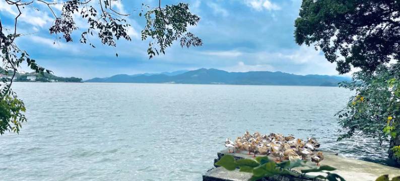 东钱湖真隐·心舍|180°湖景度假民宿(院士中心店)图片