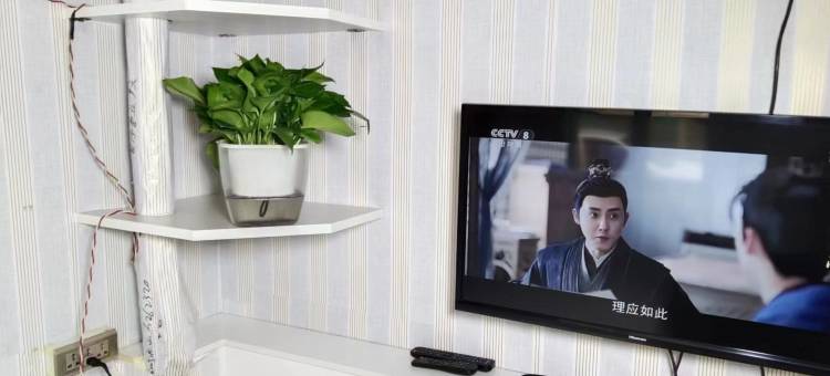 公主岭祥和时尚旅馆图片