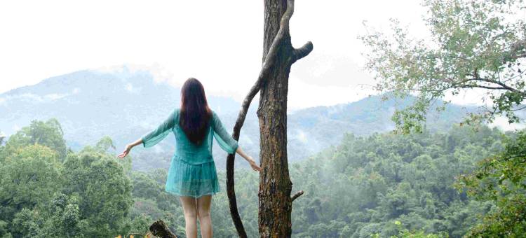 方诺寨·雨林生态庄园图片