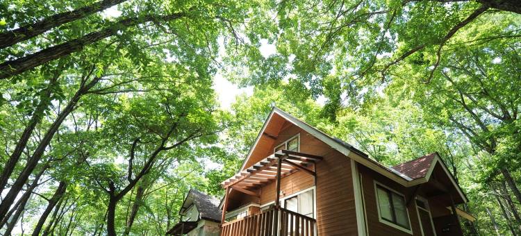 八岳山麓伊豆美乡小屋(Izumigo Ambient Yatsugatake Cottage)图片