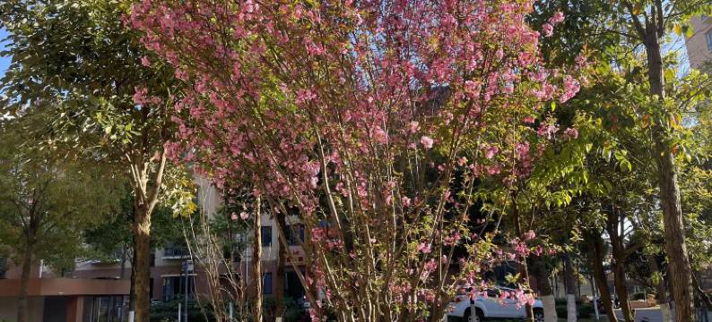 乾沁花园公寓(昆明长水国际机场店)图片