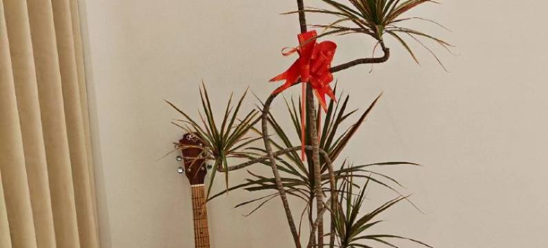 平潭禾沐·Radiant轻奢设计师民宿(龙王头沙滩店)图片