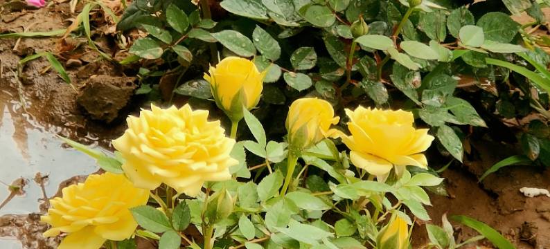 野三坡一半别院民宿图片