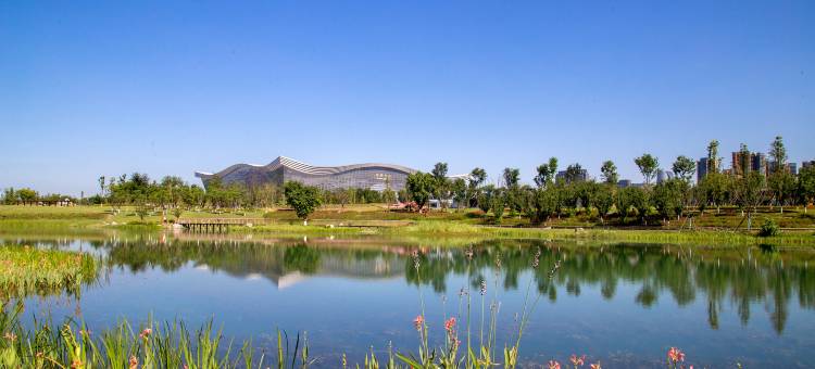 成都世纪城假日酒店-东楼图片