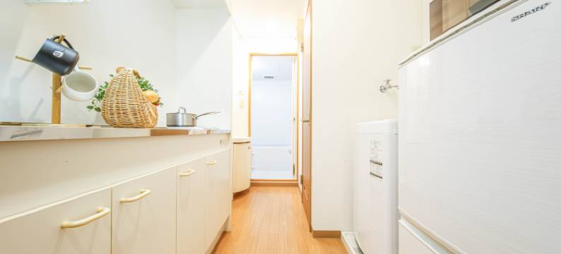 轻宿心斋桥5号店(Lite House Shinsaibashi 5)图片
