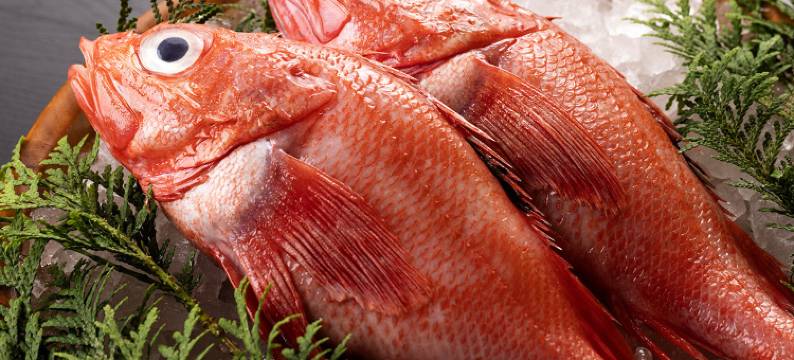 珊瑚草乡能取庄园 卡伽利亚(Coral grass village Notorinosou Kagariya)图片