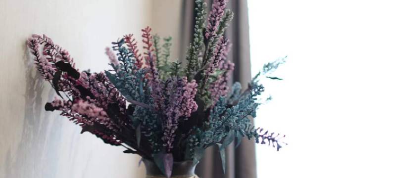 叶子设计师民宿(河下古镇店)图片