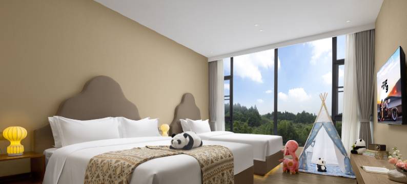 天府逸云大酒店(成都天府国际机场店)图片