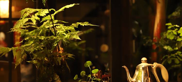 阆中江边朝戈小窝.落地大窗观景.全屋智能(阆中古城华光楼店)图片