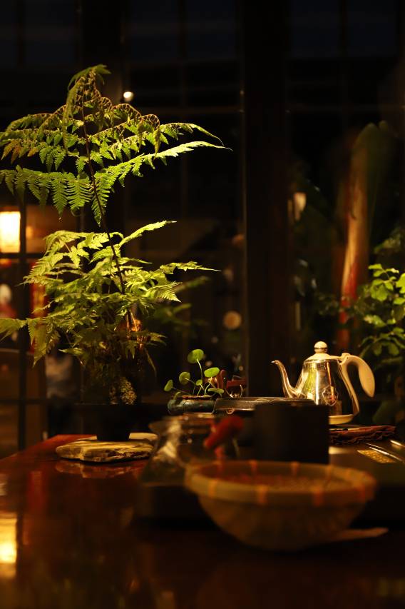 朝戈小窝(阆中古城华光楼店)图片