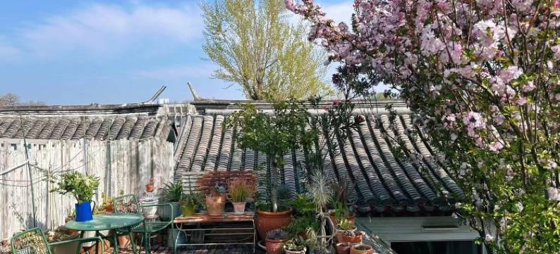 北平花园·北平小院四合院酒店(北京西单金融街店)图片