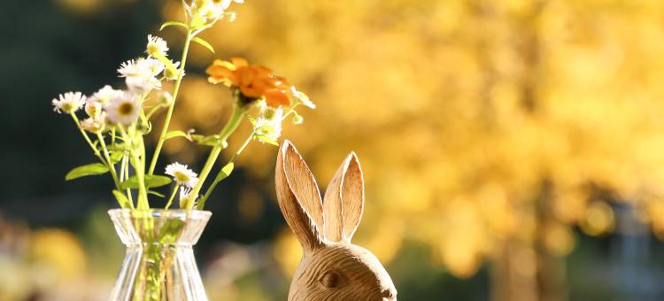 花筑奢·黄山见山露台民宿(黄山汤口南大门店)图片