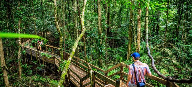 凯恩斯中央青年旅舍(YHA Cairns Central)图片